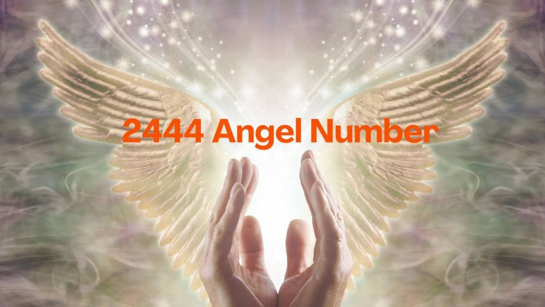 2444 Angel Number: Every Thing You Need To Know 2024