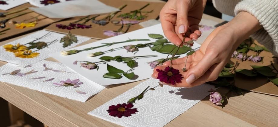 Choosing the Best Dried Flowers for Long-Lasting Beauty...