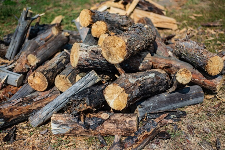 Choosing Quality Firewood: A Guide to Firewood Delivery Bergen County NJ | by NY NJ FIREWOOD | Nov, 2024 | Medium