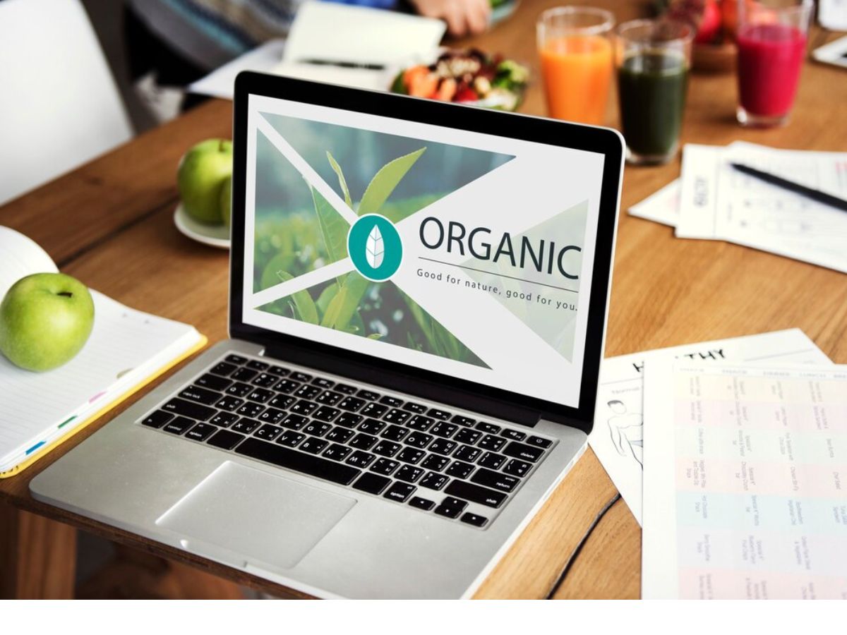 What Are the Key Benefits of Organic SEO for Your Business? - Digimasters Solutions