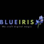 Blueiris Profile Picture