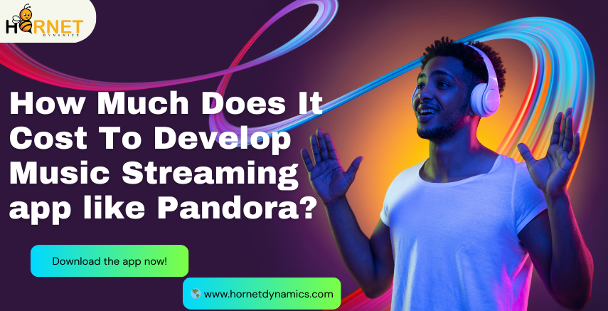 How Much Does It Cost To Develop Music Streaming app like Pandora?