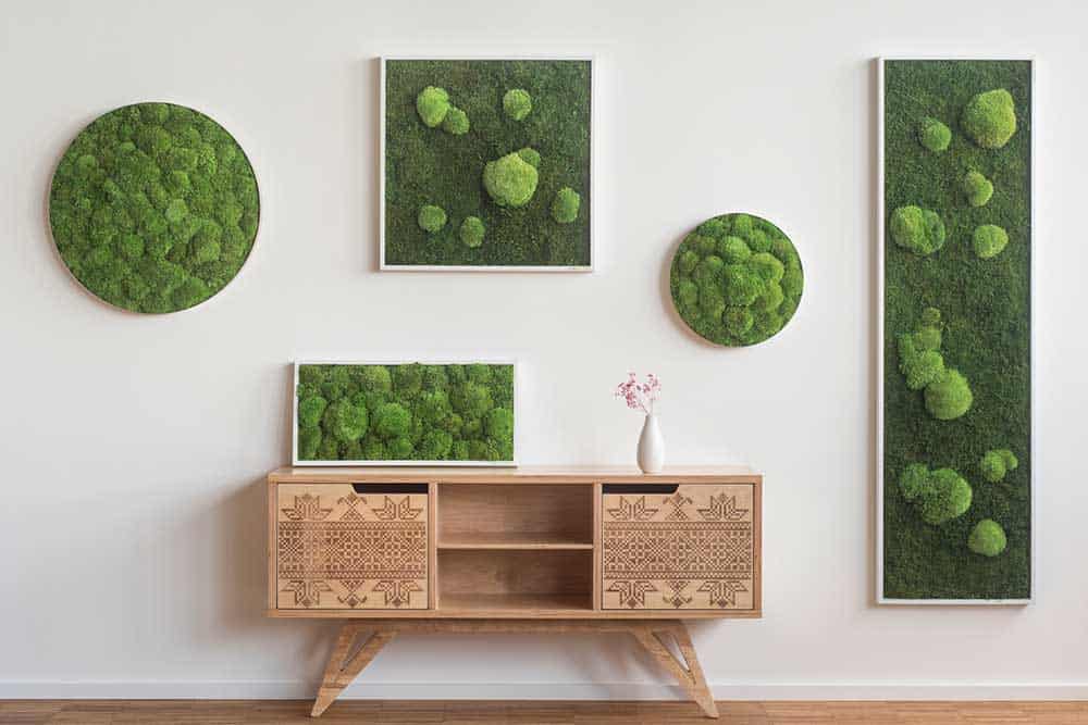 Best Moss Walls Installer in New York - Moss Wall Art Home & Commercial