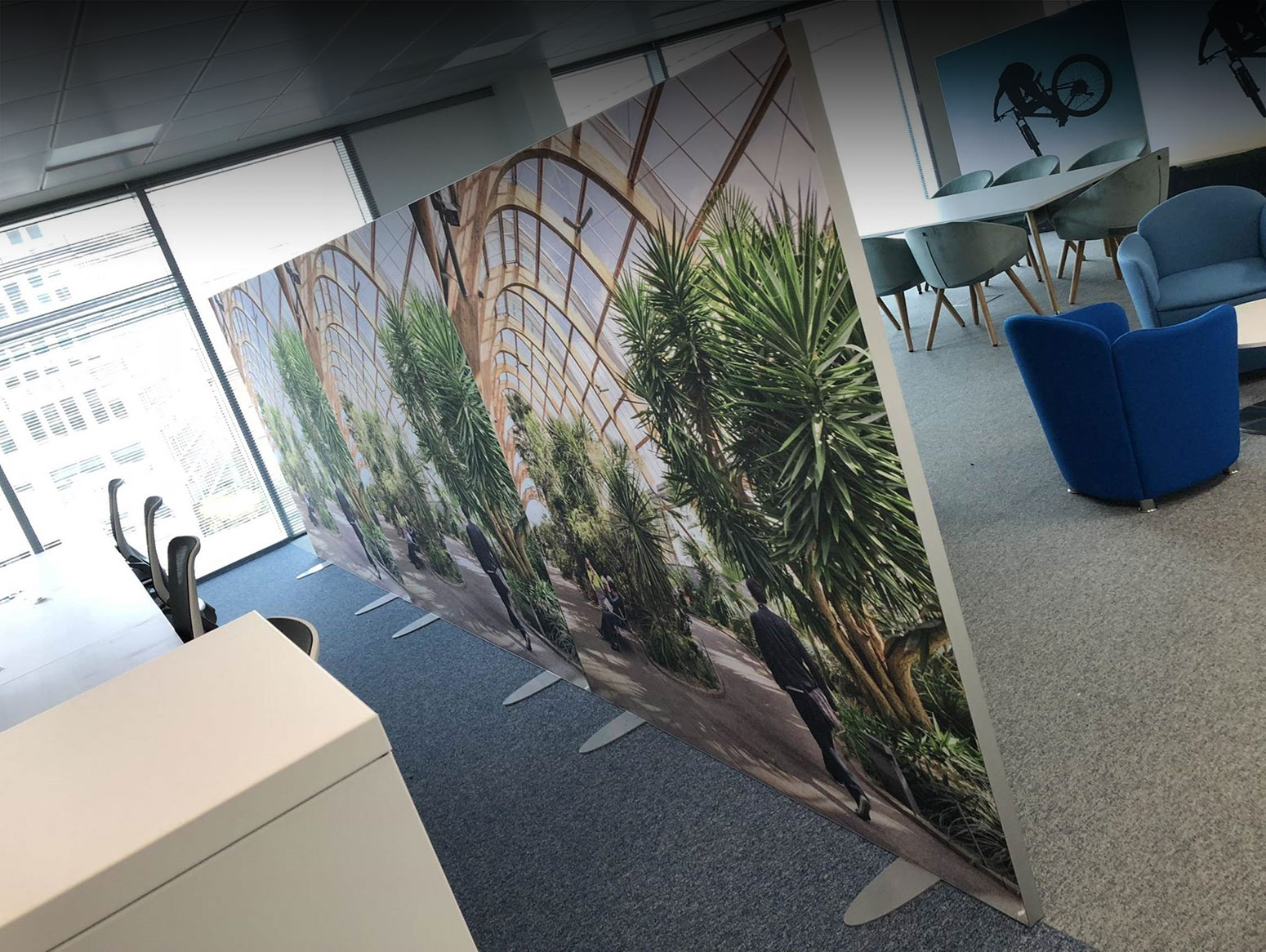 Acoustic Solutions | Printed Acoustic Wall Panels | Leach