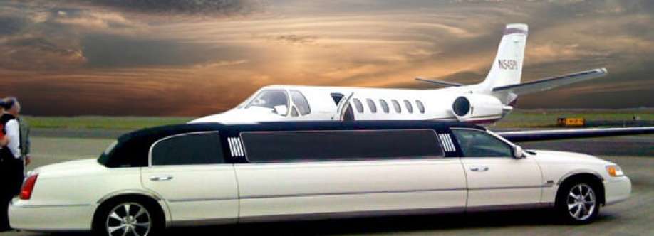 Skyway City Limo Cover Image