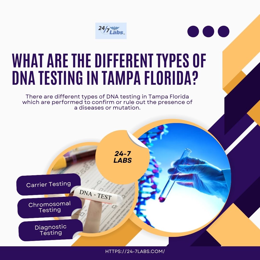 What Are the Different Types of DNA Testing in Tampa Florida? - Latest Talks