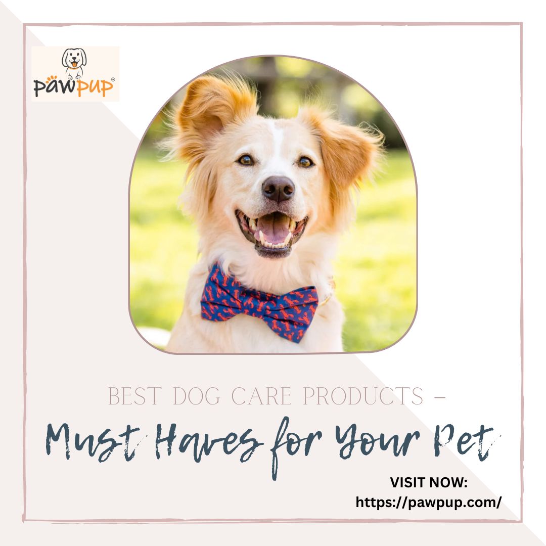 Best Dog Care Products – Must Haves for Your Pet - Fresh Voice Hub- Guest Posting Site