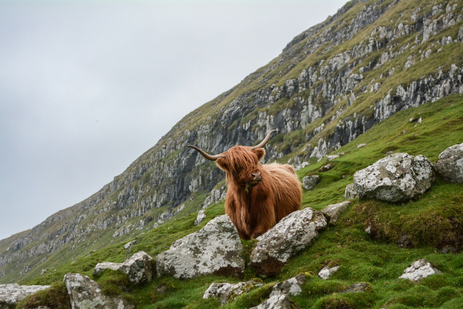 Campervan Hire Scotland: Explore History and Culture